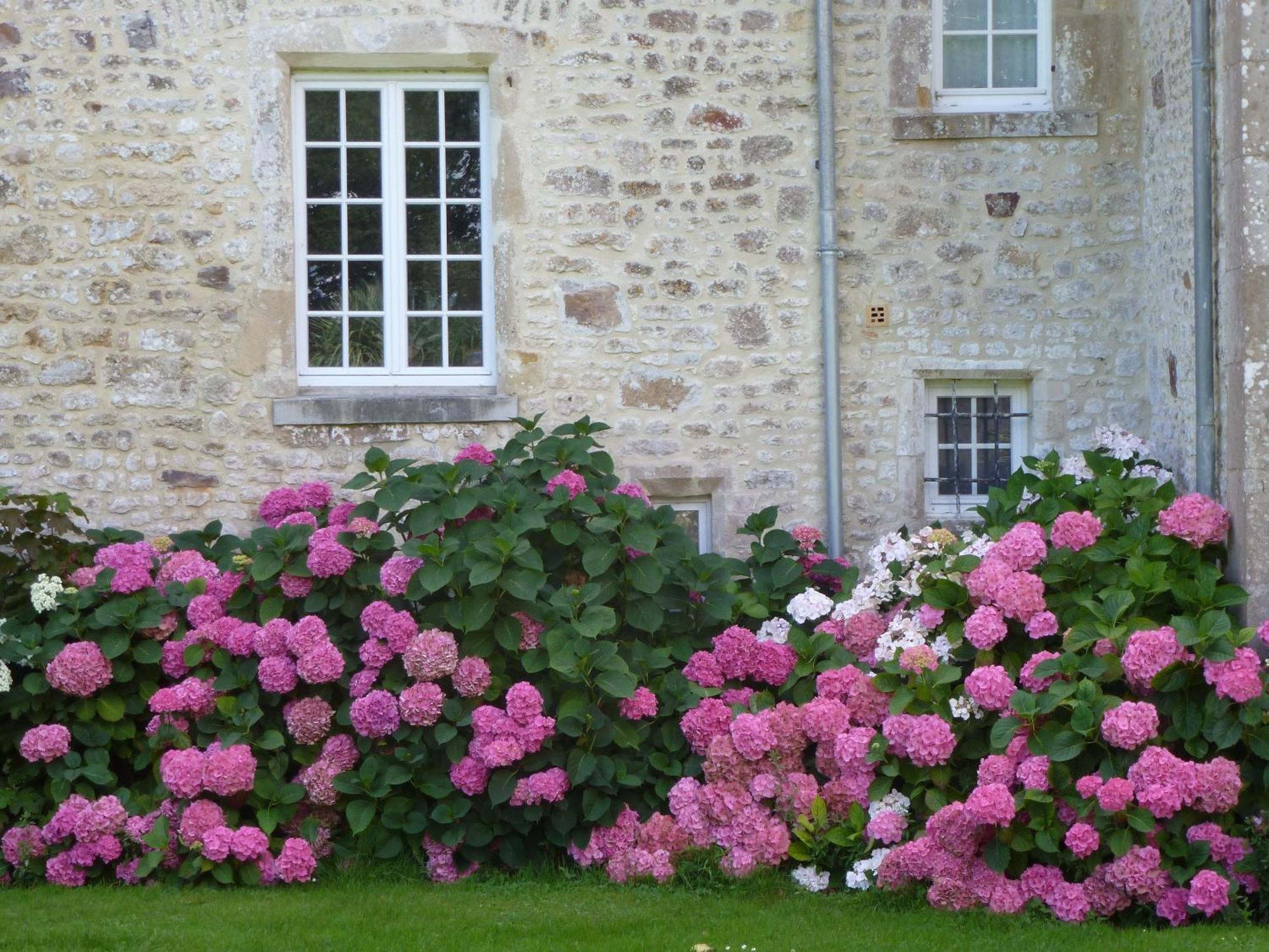 Manoir De Savigny Bed and Breakfast Valognes Buitenkant foto