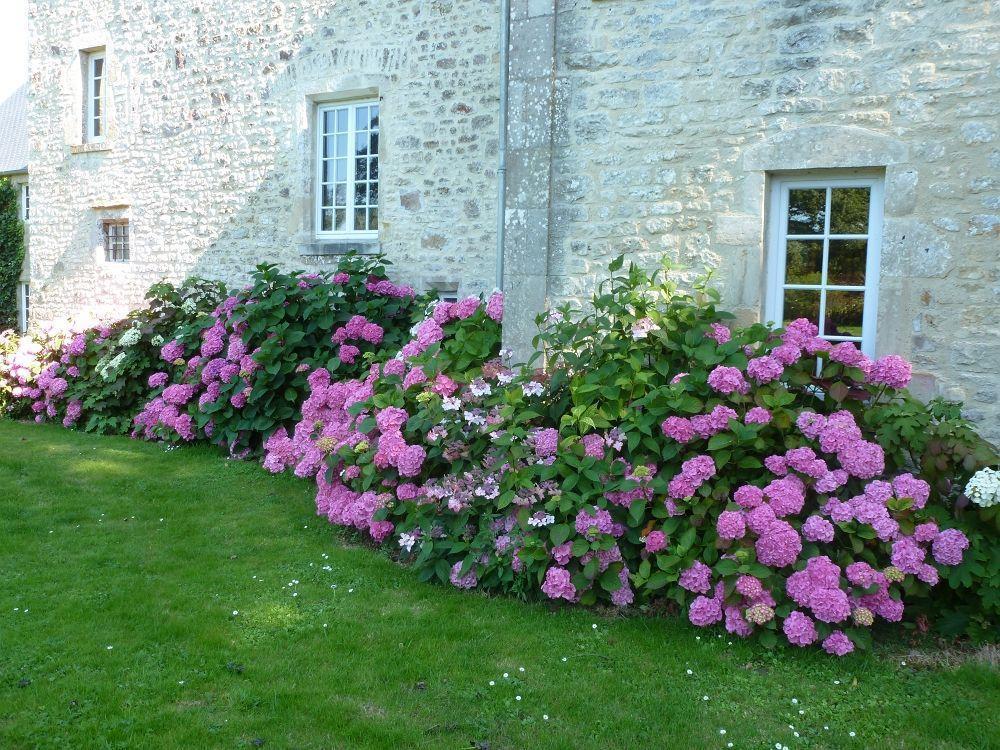 Manoir De Savigny Bed and Breakfast Valognes Buitenkant foto
