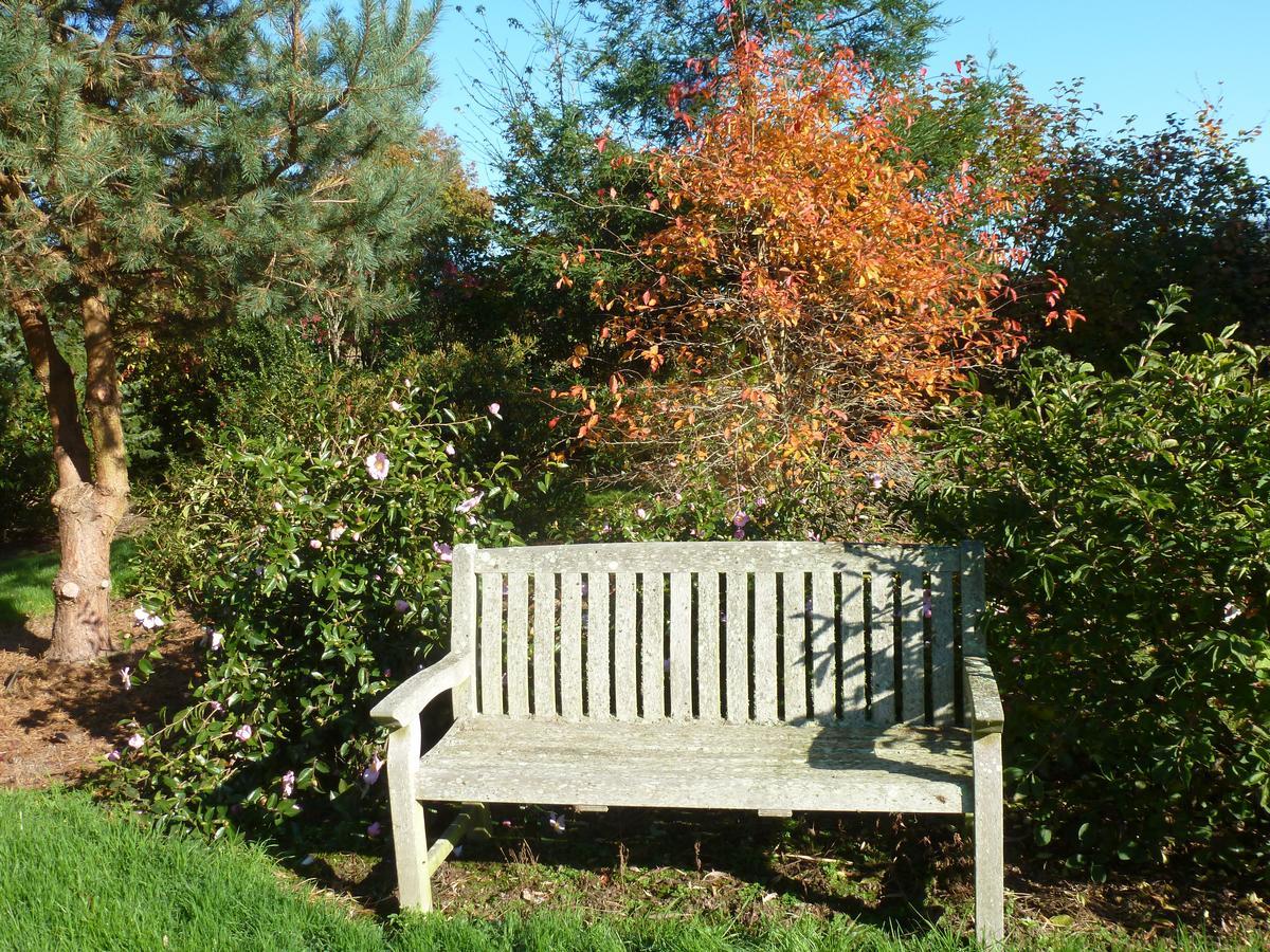 Manoir De Savigny Bed and Breakfast Valognes Buitenkant foto